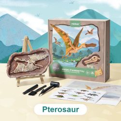 Ausgrabung von Dinosauriern - Pterosaurus